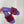 dway slide embroidered red purple cotton