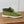 LP Open Walk Chukka Boot Green Suede Lamb Fur