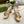Horsebit 11cm Platform Sandal Gold Metalic Calfskin
