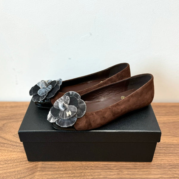 CC Ballet Flats Dark Brown With Camellia Grey Suede