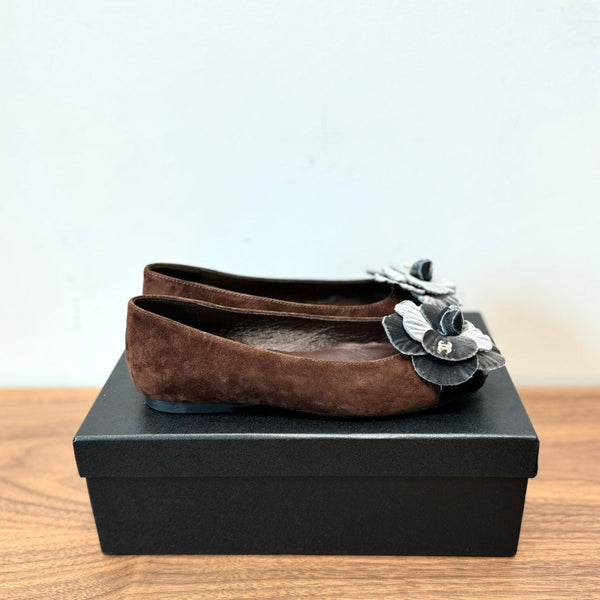 CC Ballet Flats Dark Brown With Camellia Grey Suede