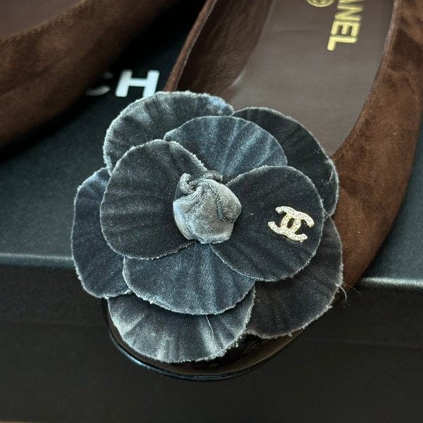 CC Ballet Flats Dark Brown With Camellia Grey Suede