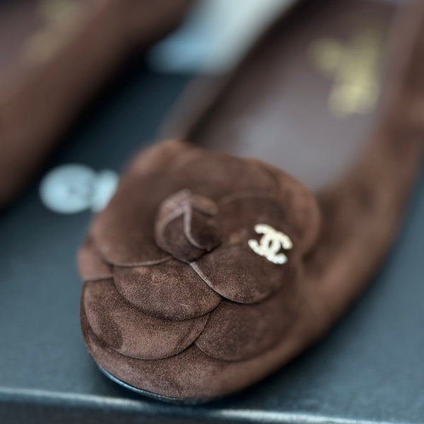 CC Ballet Flats Dark Brown With Camellia Dark Brown Suede