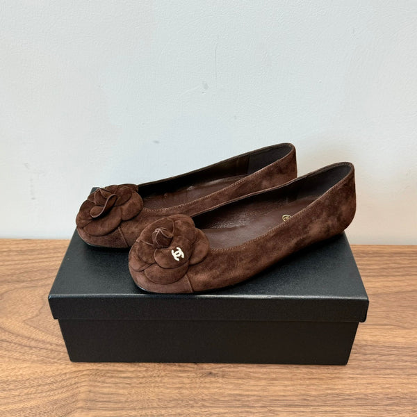 CC Ballet Flats Dark Brown With Camellia Dark Brown Suede