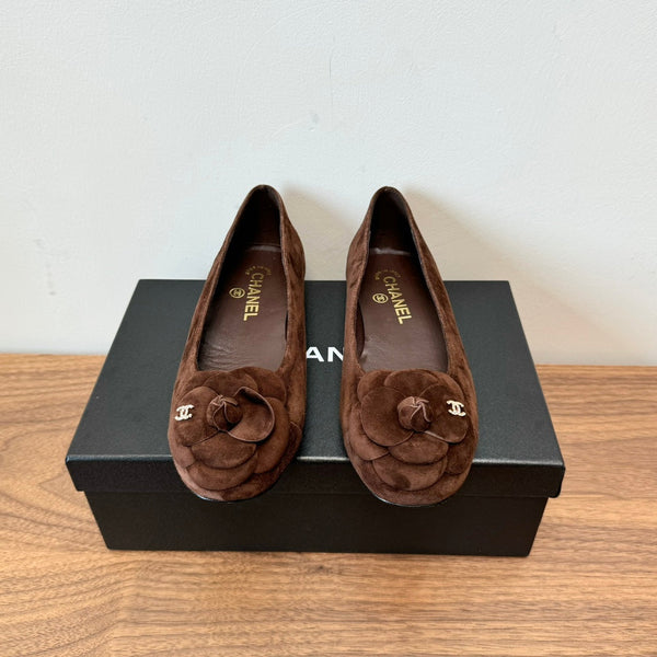 CC Ballet Flats Dark Brown With Camellia Dark Brown Suede