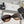 TRIOMPHE SUNGLASSES 58036 IN ACETATE
