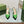 GG SIGNORIA SLINGBACK PUMP GREEN LAMBSKIN