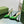 GG SIGNORIA SLINGBACK PUMP GREEN LAMBSKIN