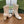 GG Horsebit Ankle Boot 95 Cream Calfskin
