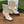 GG Horsebit Ankle Boot 95 Cream Calfskin