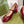 HORSEBIT MARY JANE HEEL IN CRIMSON RED CALFSKIN