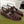 GC 25 Black Double G Sandal bordeaux Rubber 292436