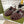 GC 25 Black Double G Sandal bordeaux Rubber 292436