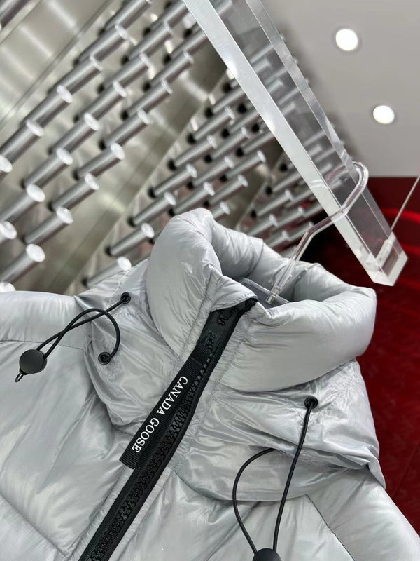 C. Goose Down jacket Grey Silver Polyester 0038