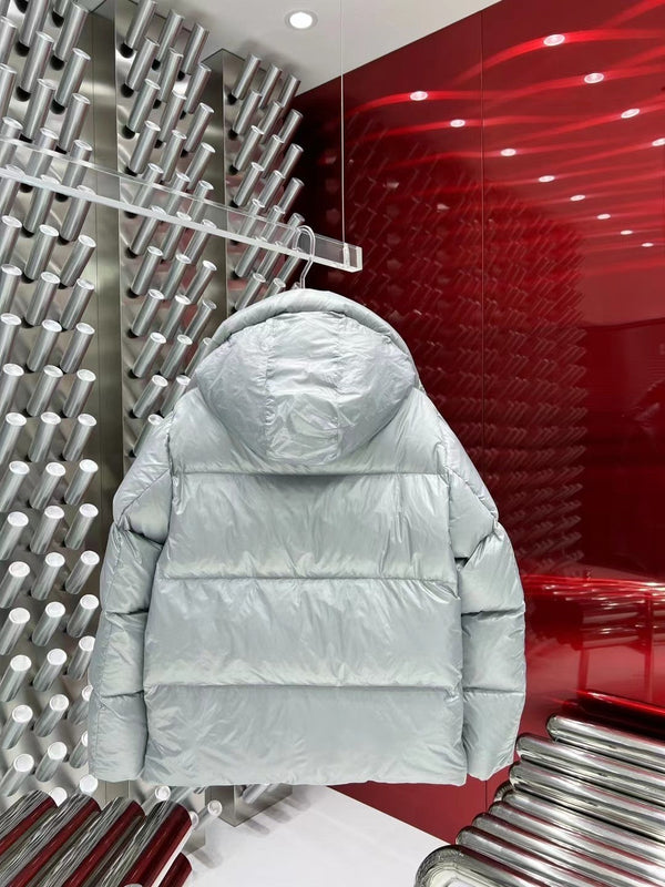 C. Goose Down jacket Grey Silver Polyester 0038