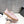 CL 25 Tutti Rui Sneaker Pink Cowhide 323185