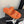 CC 25 Dad Sandal Mule Orange Calfskin