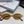 TRIOMPHE SUNGLASSES 548597 IN METAL