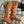 GG KNEE HIGH BOOTS WITH HORSEBIT IN CHOCOLATE BROWN CALFSKIN