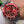 SUBMARINER DATE 40 RED DIAL